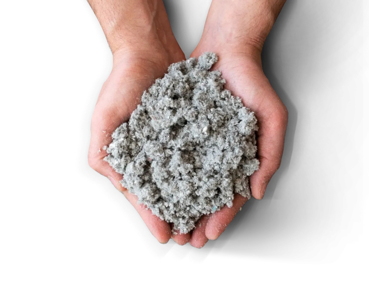 Celulose & Aparas